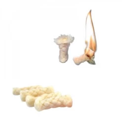 Kit Allume-feu SOL Fire Lite -Camping Soldes 2 kit allume feu sol fire lite.jpg