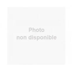 REGLE VICTORINOX AVEC BOUSSOLE, THERMOMETRE ET LOUPE